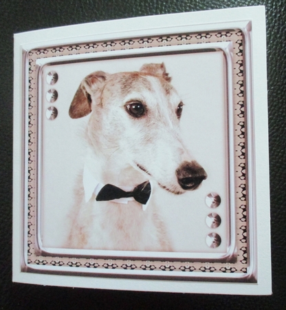  JJ LOVE MY DOG GREYHOUND 8X8 by Davina Rundle