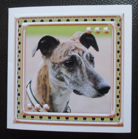  JJ LOVE MY DOG GREYHOUND 2 8X8 by Davina Rundle