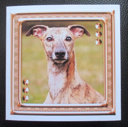 JJ LOVE MY DOG GREYHOUND 3 8X8 by Davina Rundle