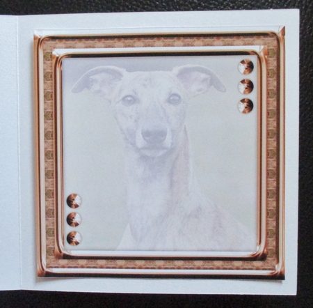 JJ LOVE MY DOG GREYHOUND 3 8X8 INSERT BLANK by Davina Rundle