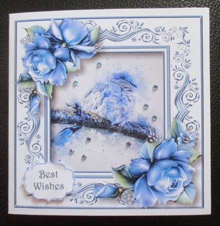 The Fluffy Winter Bird 8x8 by Davina Rundle