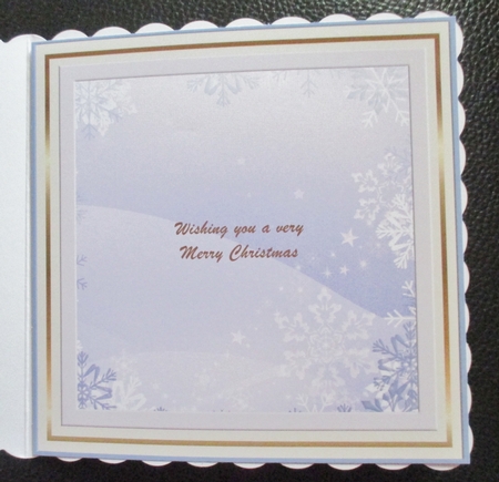 Christmas Snowflakes Insert  by Davina Rundle