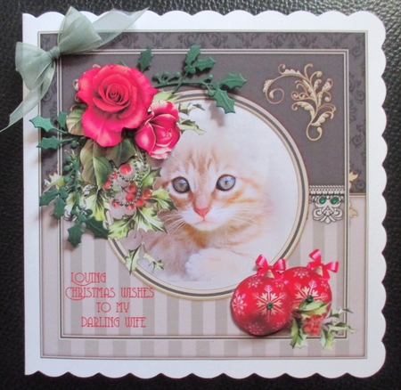 Christmas cat 2 by Davina Rundle