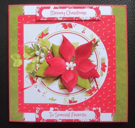 Red Poinsettia by Davina Rundle