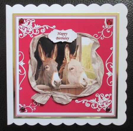 DONKEYS MULTI SENTIMENTS by Davina Rundle