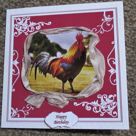 COCKEREL MULTI SENTIMENTS by Davina Rundle