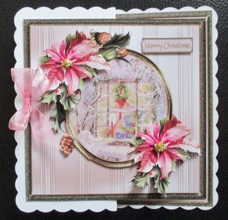 Christmas window and poinsettia by Davina Rundle