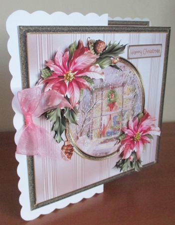 Christmas window and poinsettia by Davina Rundle