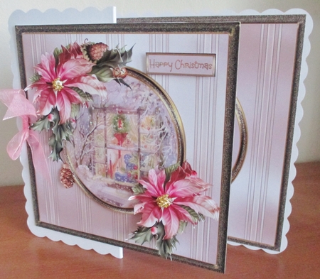 Christmas window and poinsettia by Davina Rundle