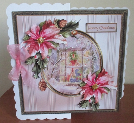 Christmas window and poinsettia by Davina Rundle