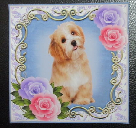 SHAGGY PUP MINI KIT by Davina Rundle