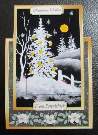 Beautiful  OTT Christmas Night , Pyramid  by Davina Rundle