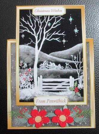 Beautiful  OTT Christmas Sky at  Night , Pyramid  by Davina Rundle