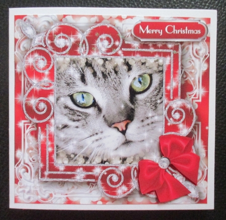 Festive Felines 4 by Davina Rundle