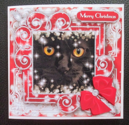 Festive Felines 7 by Davina Rundle