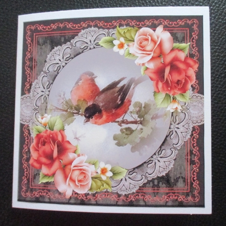 birds 11 by Davina Rundle