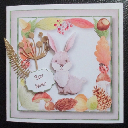Bouncing Bunny by Davina Rundle