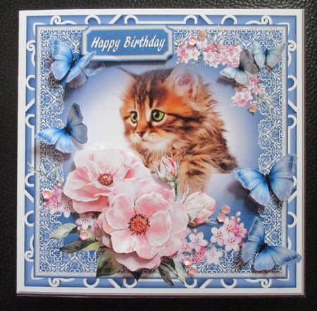 Sweet Cat by Davina Rundle