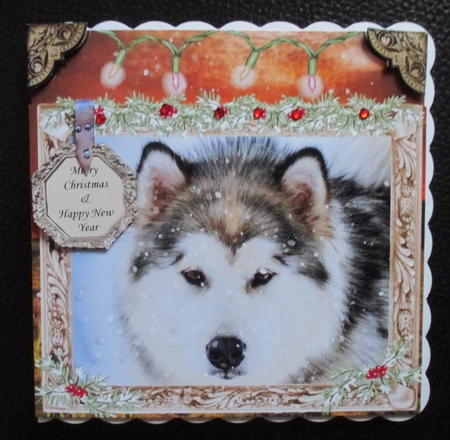 HUSKY CHRISTMAS 1 by Davina Rundle