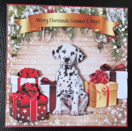 DALMATIAN PUPPY  by Davina Rundle
