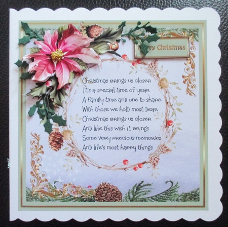 Poinsettia and fir cones by Davina Rundle