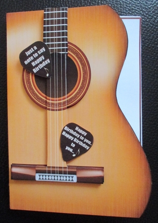 The Acoustic Guitar by Davina Rundle
