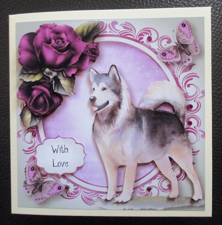 Beautiful Husky - Watercolour Wonder by Davina Rundle