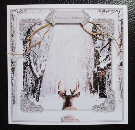 Serene Winter 1 by Davina Rundle