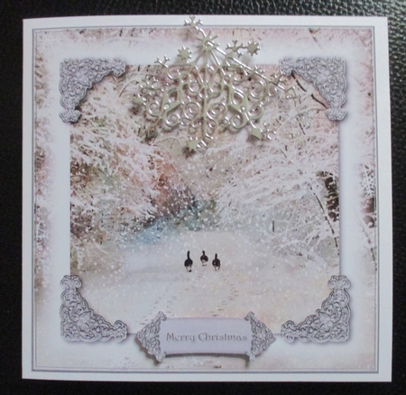 Serene Winter 12 by Davina Rundle