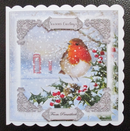 Robin Christmas 2 by Davina Rundle