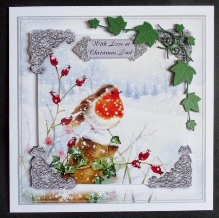 Robin Christmas 4 by Davina Rundle