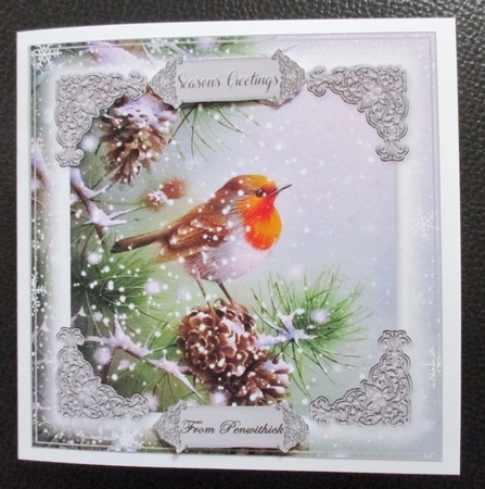 Robin Christmas 11 by Davina Rundle