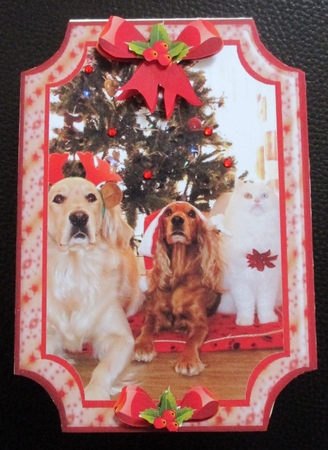 JJ PETS LOVE CHRISTMAS TOO 5X7 by Davina Rundle