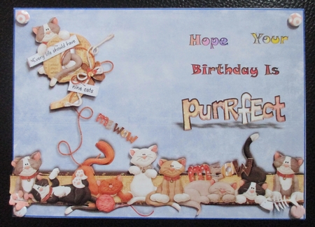 Every Life Should Have 9 Cats by Davina Rundle