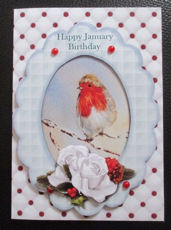 Robin in Oval Frame Mini Kit by Davina Rundle