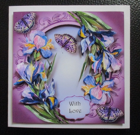 Iris & Butterflies - Watercolour Wonder by Davina Rundle