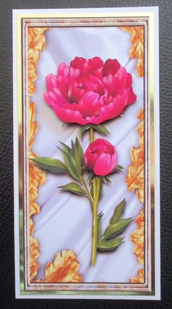 Flowers for all occaisions peony by Davina Rundle