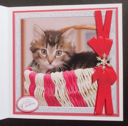 CHRISTMAS KITTEN IN A BASKET by Davina Rundle