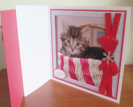 CHRISTMAS KITTEN IN A BASKET by Davina Rundle