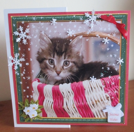KITTEN IN A BASKET by Davina Rundle