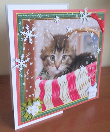 KITTEN IN A BASKET by Davina Rundle
