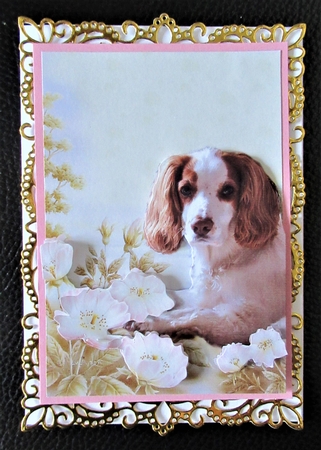 Cocker Spaniel in a Flower Meadow A5 Card Front and Decoupage by Davina Rundle