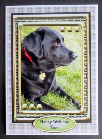 JJ LOVE MY DOG LABRADOR RETRIEVER 5X7 BLACK. by Davina Rundle