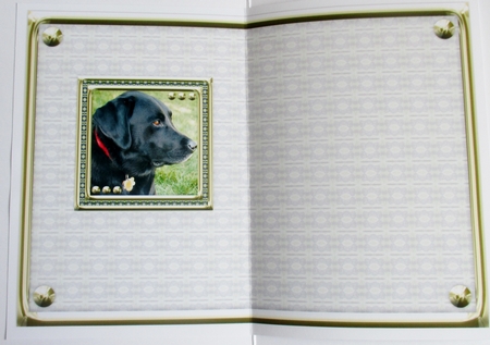 JJ LOVE MY DOG LABRADOR RETRIEVER 5X7 BLACK INSERT BLANK by Davina Rundle