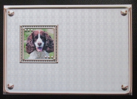 JJ LOVE MY DOG SPRINGER SPANIEL 5X7 INSERT BLANK by Davina Rundle