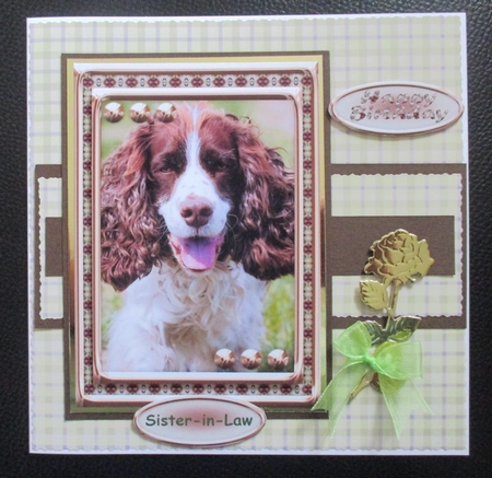JJ LOVE MY DOG SPRINGER SPANIEL 5X7 by Davina Rundle