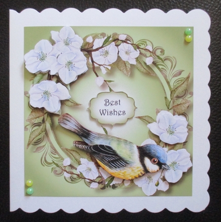 Blue Tit & Blossom - Watercolour Wonder by Davina Rundle