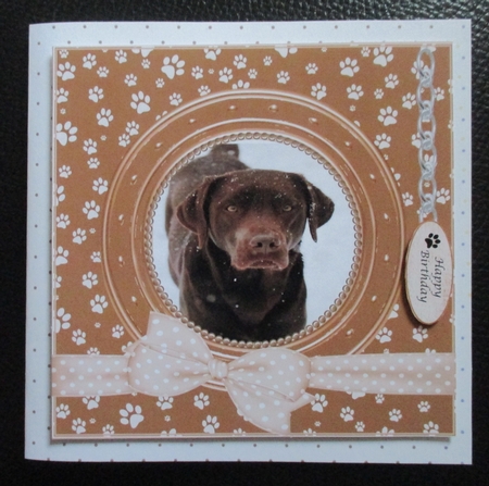 BROWN LAB THANK YOU AND VARIOUS OTHER SENTIMENTS by Davina Rundle