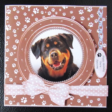 ROTTWEILER THANK YOU AND VARIOUS OTHER SENTIMENTS by Davina Rundle