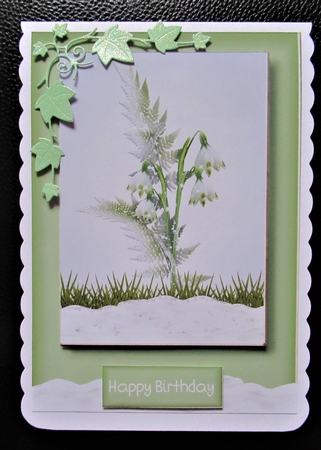 beautiful Snowdrops A5 by Davina Rundle